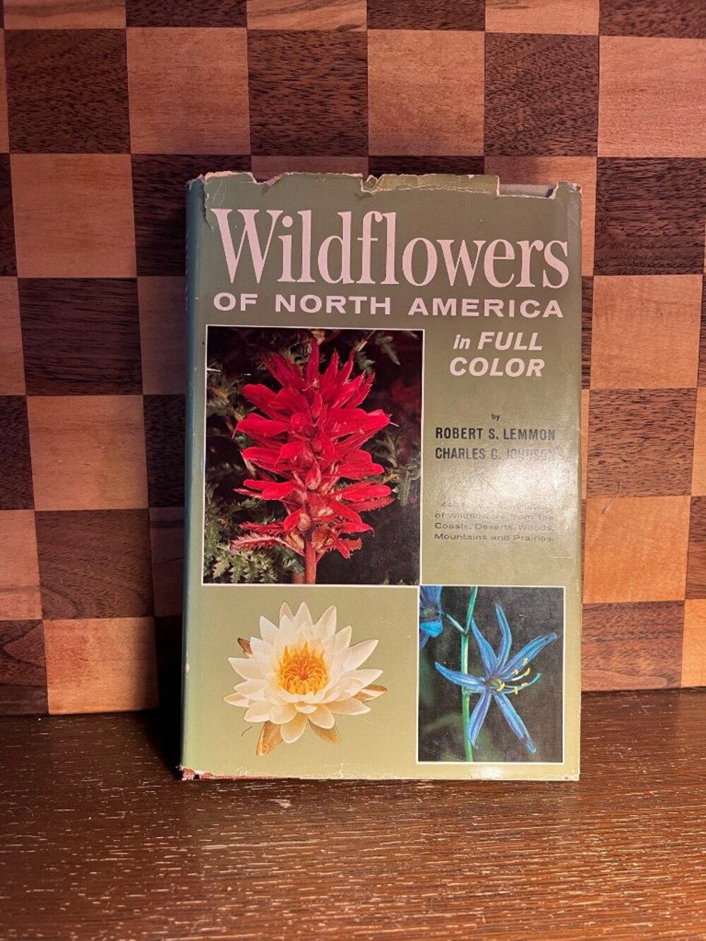 Wildflowers Book of North America A1131